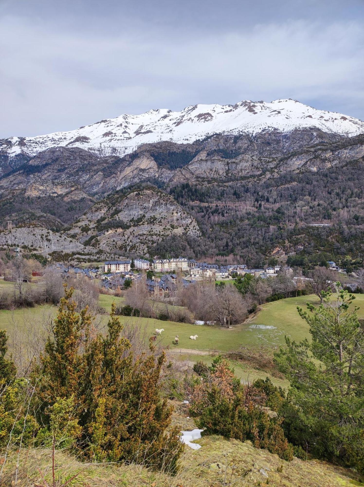 Vico Appartement